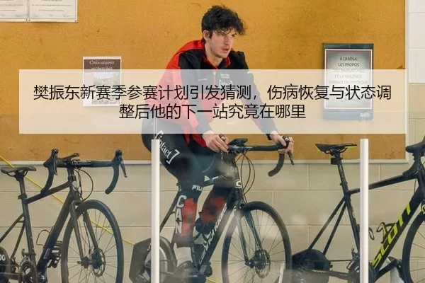 樊振东新赛季参赛计划引发猜测，伤病恢复与状态调整后他的下一站究竟在哪里